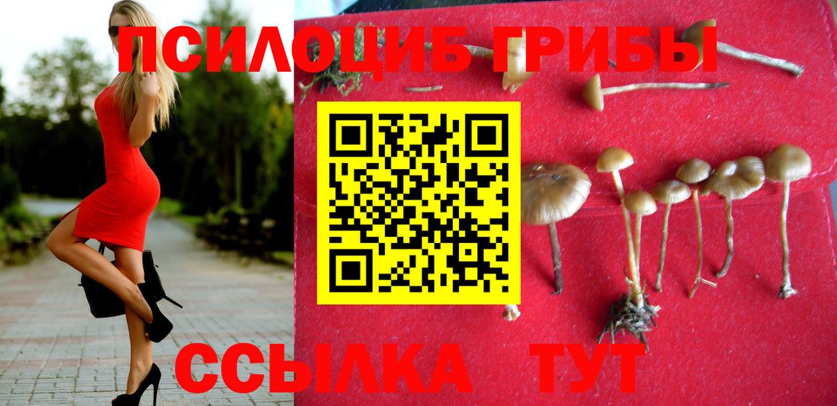 Псилоцибиновые грибы MAGIC MUSHROOMS  Вход с VPN  Лысьва 